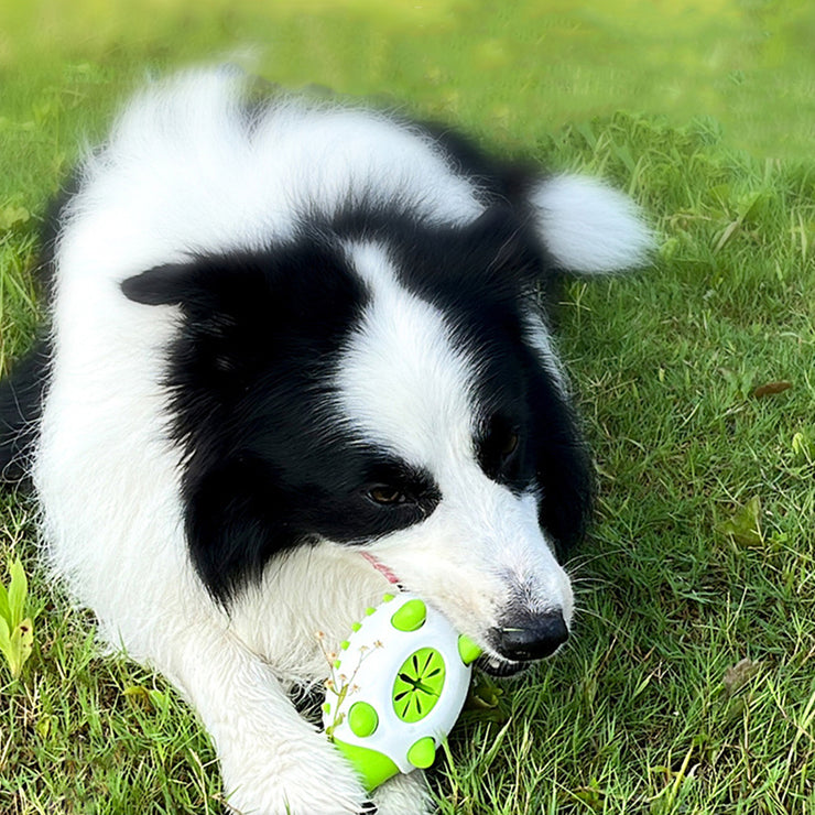 Pet Dog Toy Interactive TPR Leaking Food Toys